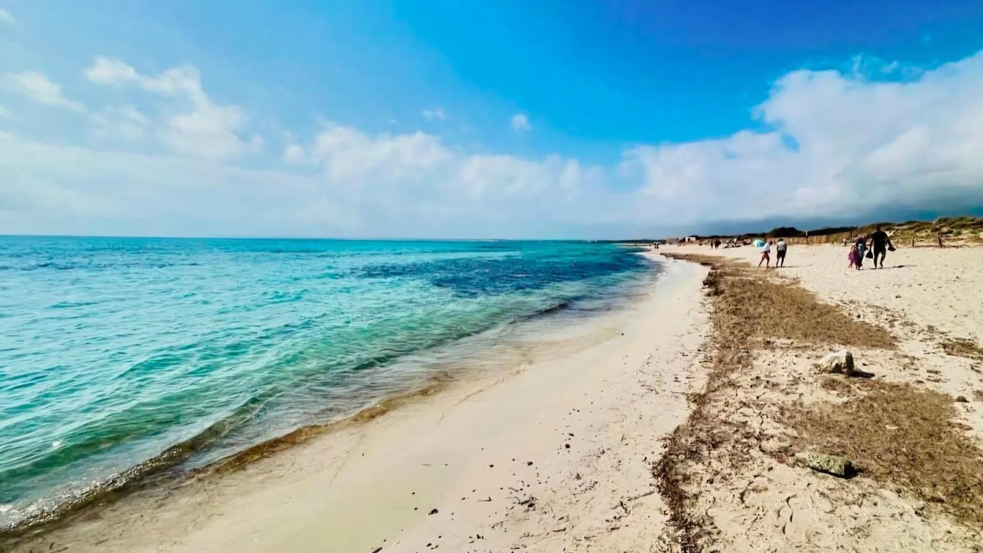 The Blue Beach Sa Ràpita